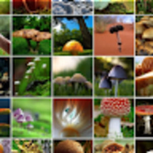 Meet your Posher, Ashlee